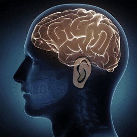 發人深省的新研究表明，40 歲以下的人根本不應該喝酒