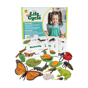 Open image in slideshow, Life Cycle Kit Toy Montessori
